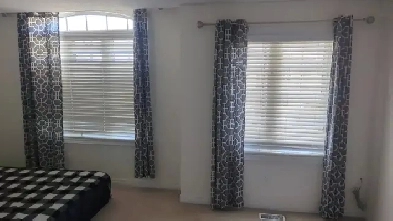 Room available for rent immediately in Brampton