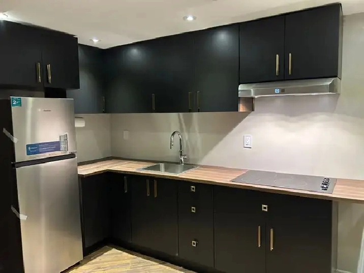 New, Modern & stylish Basement
