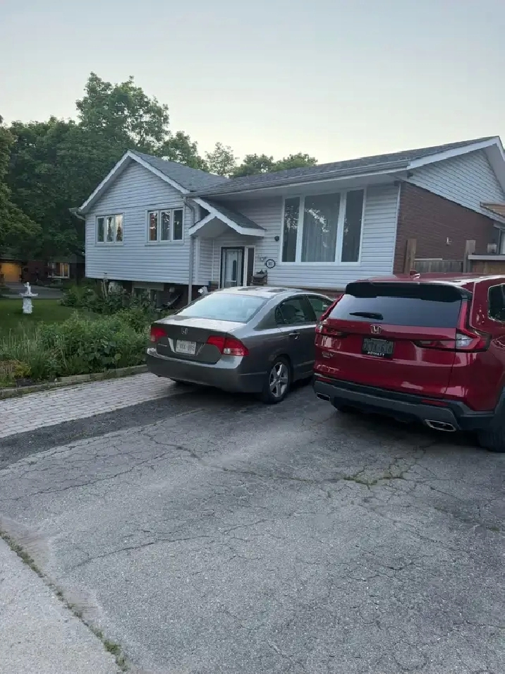 One Bedroom basement