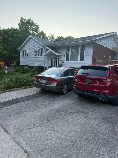 One Bedroom basement