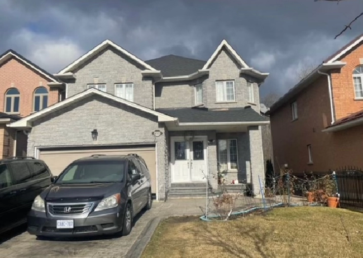 2 Rooms Available in Spacious Walkout Basement – Mississauga