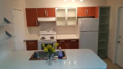Walkerville @ Ontario & Lincoln- 2 bedroom apartment