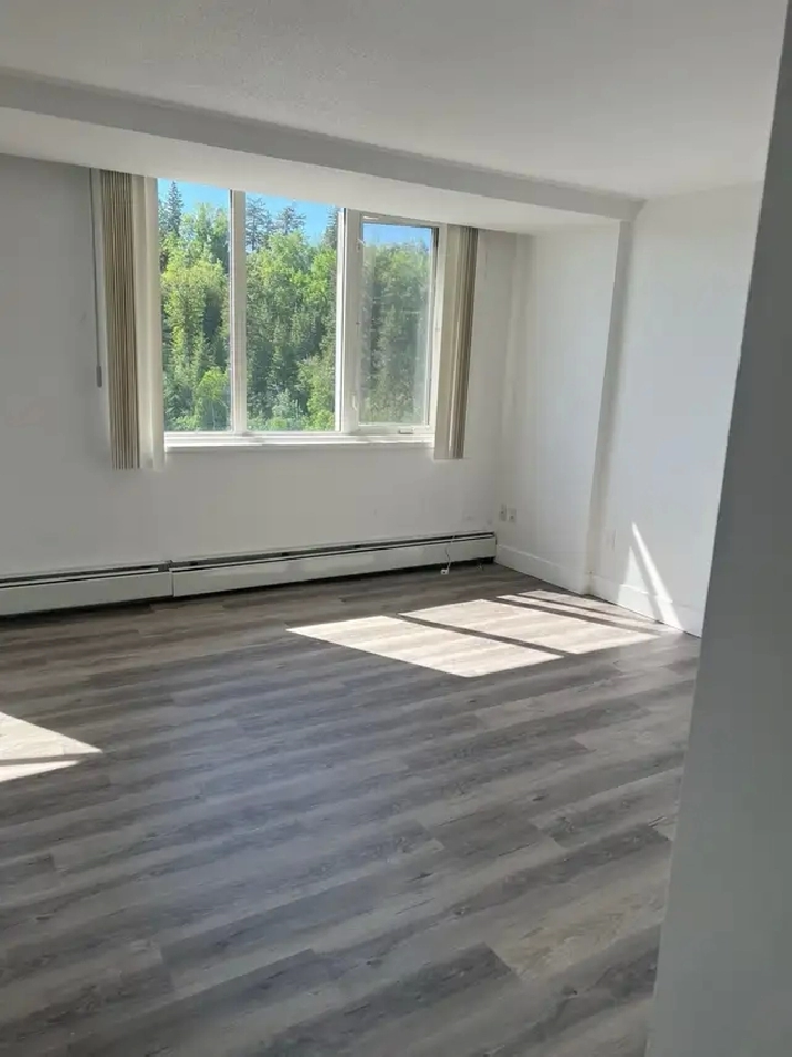 freshly renovated apartment