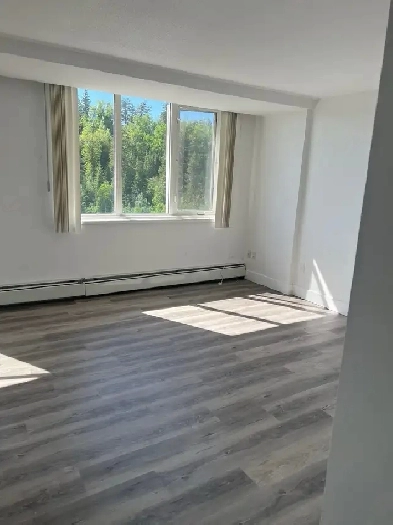 freshly renovated apartment