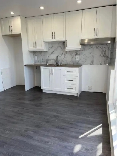 TRÈS GRAND LOGEMENT A LOUER