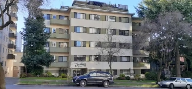 Spacious Corner Unit 1 Bedroom Apartment
