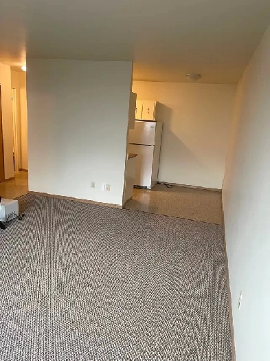 One bedroom 131 River Ave close to the Forks