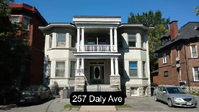 Sandy Hill Basement Bachelor/Studio Apartment for Rent -257 Daly