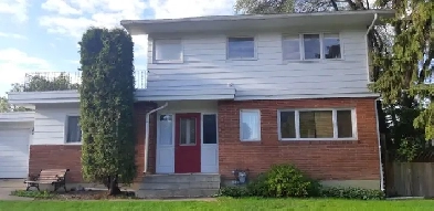 Spacious Legalized Basement Suite with Lots of Storage