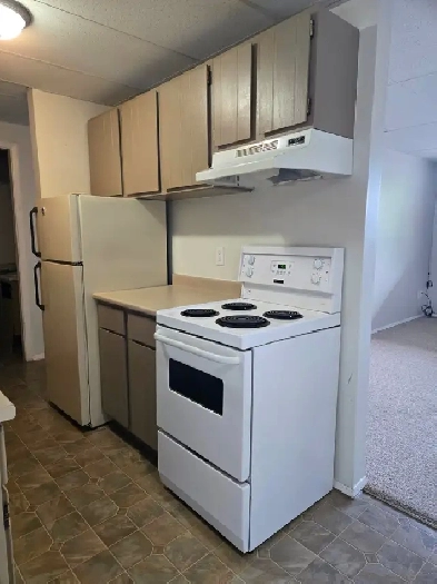 MAIN FLOOR – 1 BDRM – CAT FRIENDLY