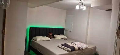 Walk-out Basement for rent