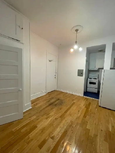 Nice bachelor unit- Downtown location- Available August 1st!