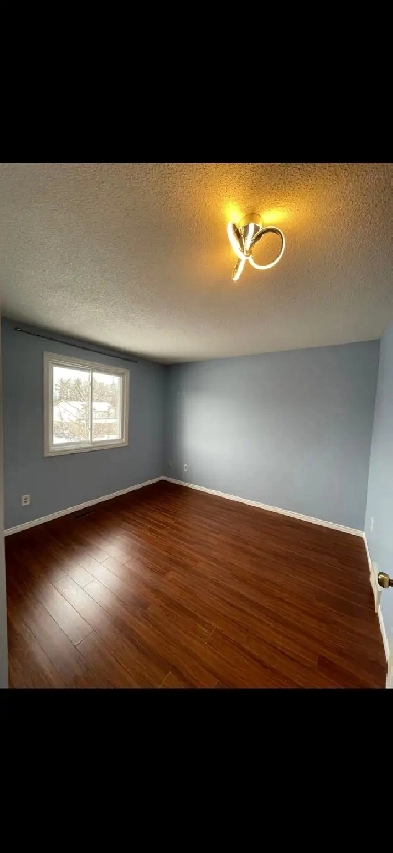 Room on rent