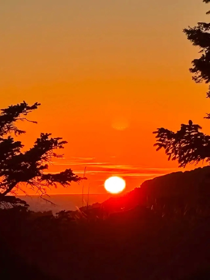 1.1 acreage for sale in beautiful Bamfield Vancouver Island .