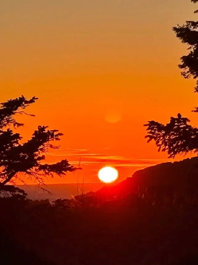 1.1 acreage for sale in beautiful Bamfield Vancouver Island .