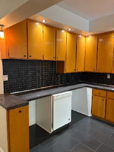 HUGE 4-5 Bedroom/ 2 Bathroom Apt /Plateau Mont Royal …July 1
