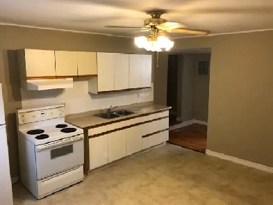 1 Bedroom Apartment in Old South