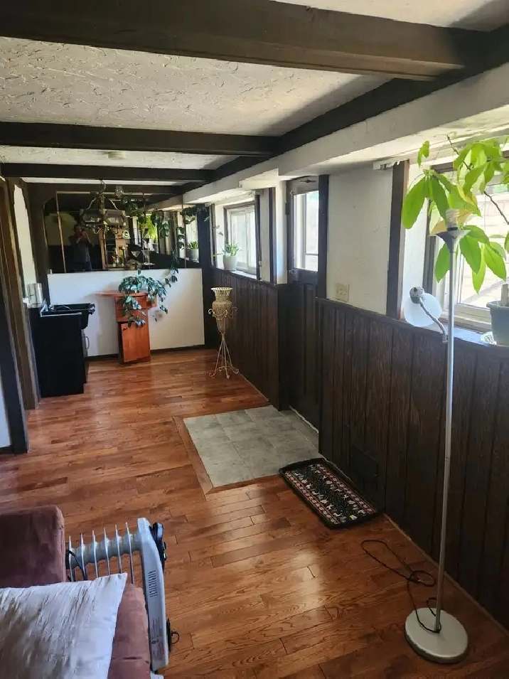 Walkout bsmt. for rent