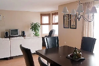 ✨ Magnifique 4 ½ Confort, tranquillité et lumière !