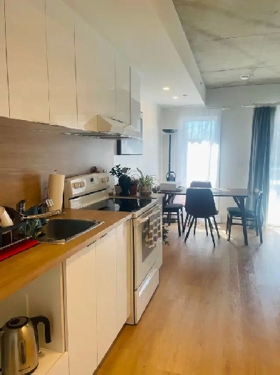 Loft 3 1/2 neufs au coeur du centre-ville, à proximité de tout!