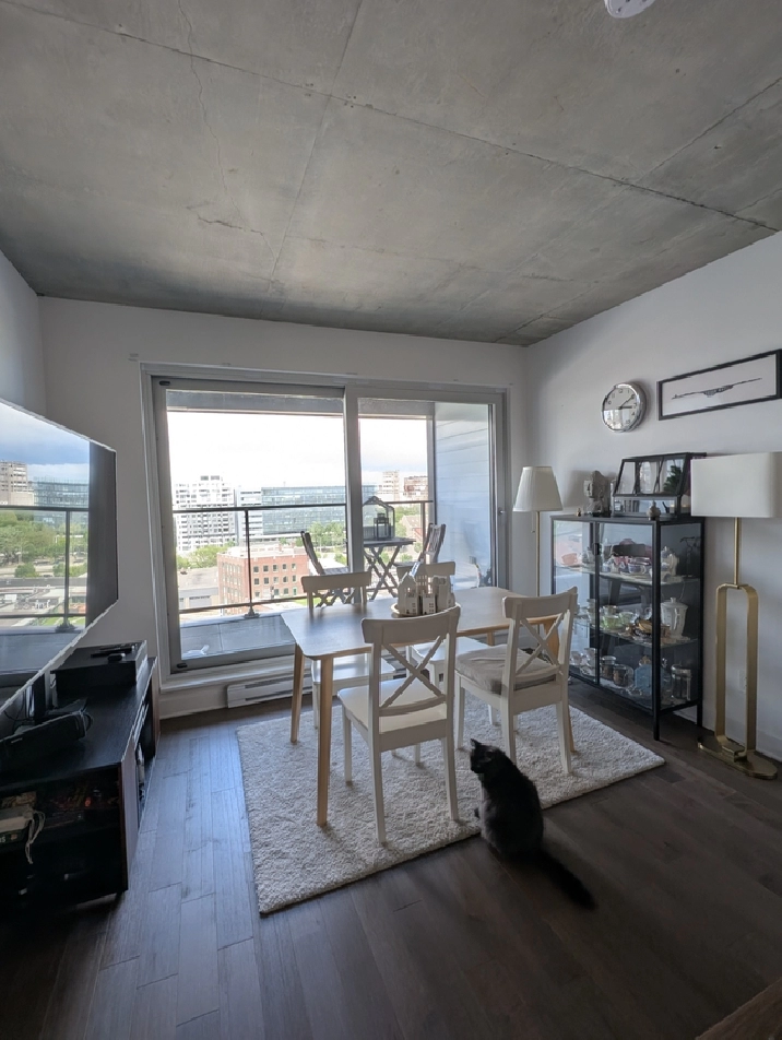 LOCATION 4 1/2 Griffintown 2400$/mois Dispo 1er Août 2026