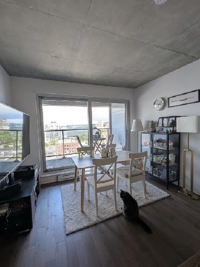 LOCATION 4 1/2 Griffintown 2400$/mois Dispo 1er Août 2026