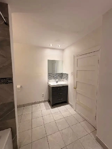 4.5 in Petite Patrie (next to Metro Beaubien)
