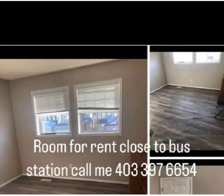 for rent