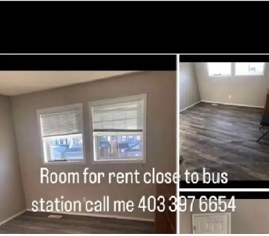 for rent