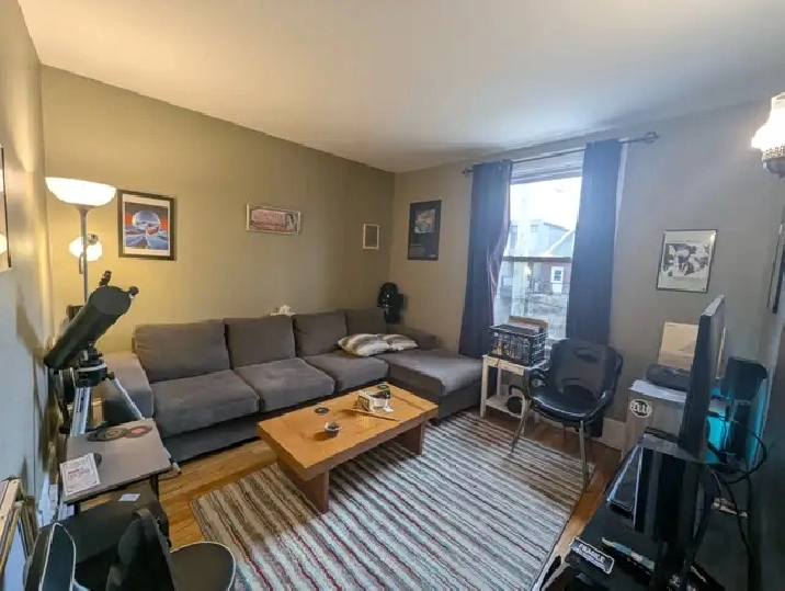 1 Bed   Den in Hintonburg/Wellington Village/Parkdale