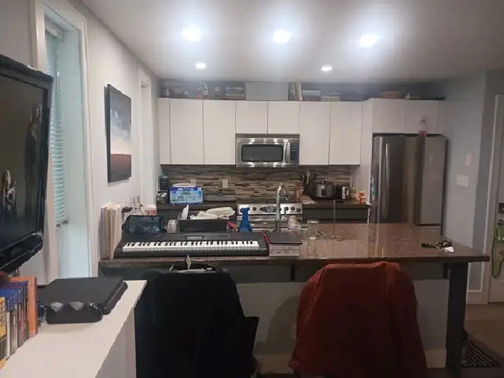 1 bedroom 2-level full-furnished suite with amenities