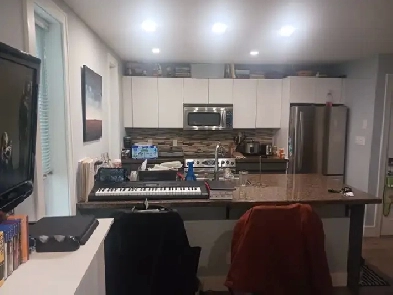 1 bedroom 2-level full-furnished suite with amenities