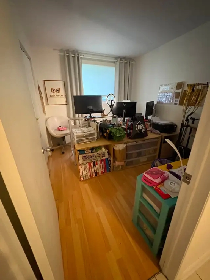 Photo 6