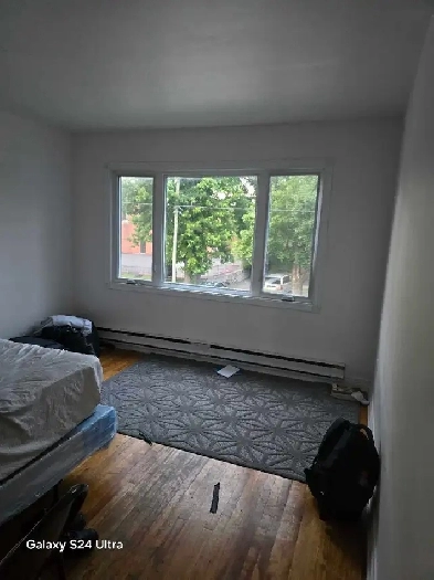 appartement 3 1/2 a louer