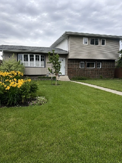 FOR SALE HOUSE LOCATED IN McQueen EDMONTON