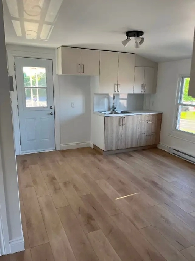 Appartement 3 1/2 duplex