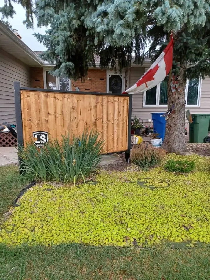 1 bedroom basement suite for rent in Walsh acres