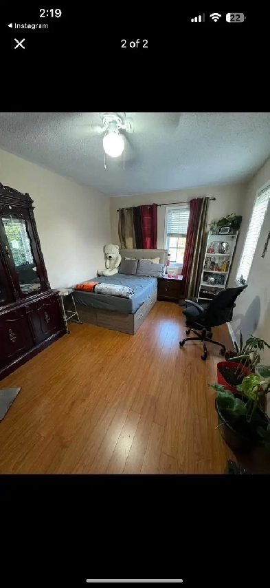room for rent