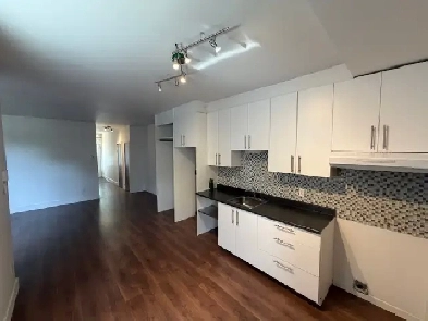 Grand 3.5 style condo Métro Joliette