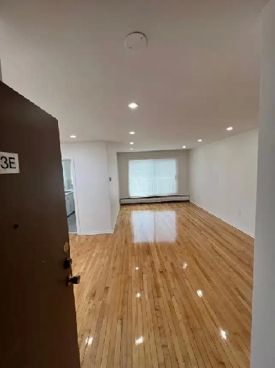 Exclusive Dorval skylight 3 1/2