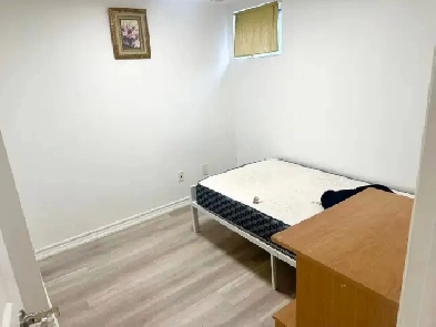Downtown Toronto 2B Basement Suite