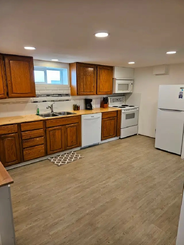 1 Bedroom Basement Suit