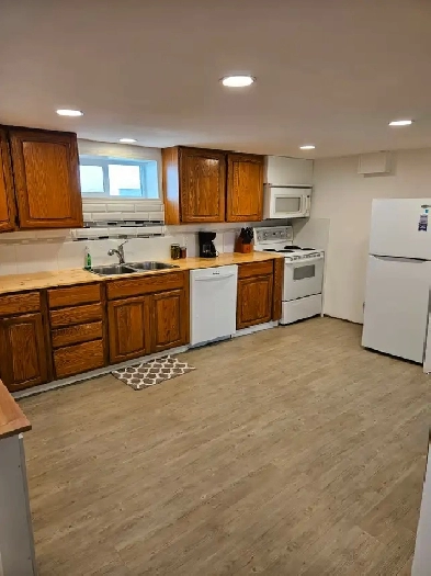 1 Bedroom Basement Suit
