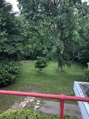 2 Bed renovated apt in triplex- laundry, parking, yard & deck