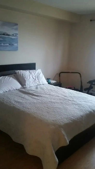 Room for rent in 2-bedroom condo at plateau