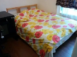 DT 41/2 Apartment for rent immediately