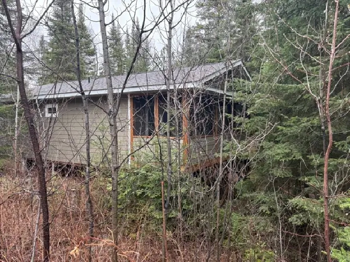 CABIN FOR SALE, GRANITE LAKE, ON - LAKEWOOD
