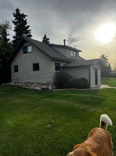 House/Cabin