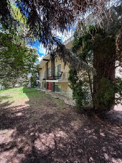 SPACIOUS AND COZY 2 BEDROOMS IN KING EDWARD-BONNIE DOON