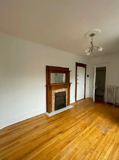 Nice bachelor with balcony -Centretown -Available September 1st!